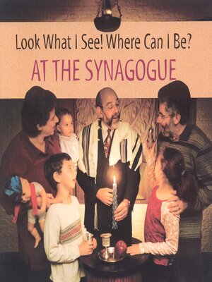 cover image of At the Synagogue